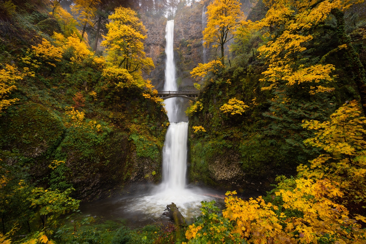 Multnomah Falls waterfall surrounded by autumn foliage