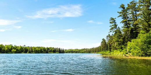 Clean freshwater lake surrounded by trees under a clear sky, representing natural environments at risk and why knowing how to avoid PFAS matters.