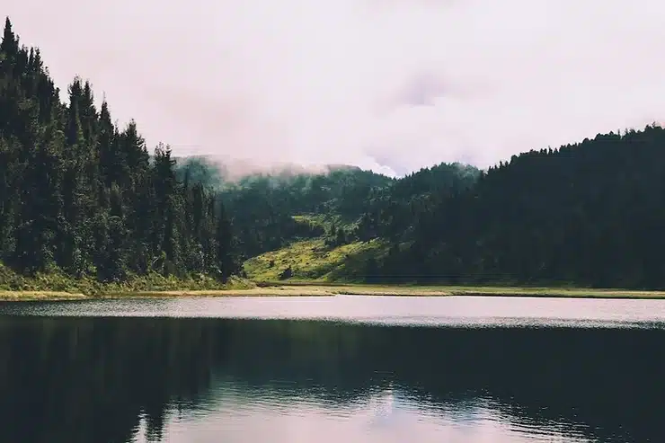 lake with beautiful mountains and trees with a cloudy sky